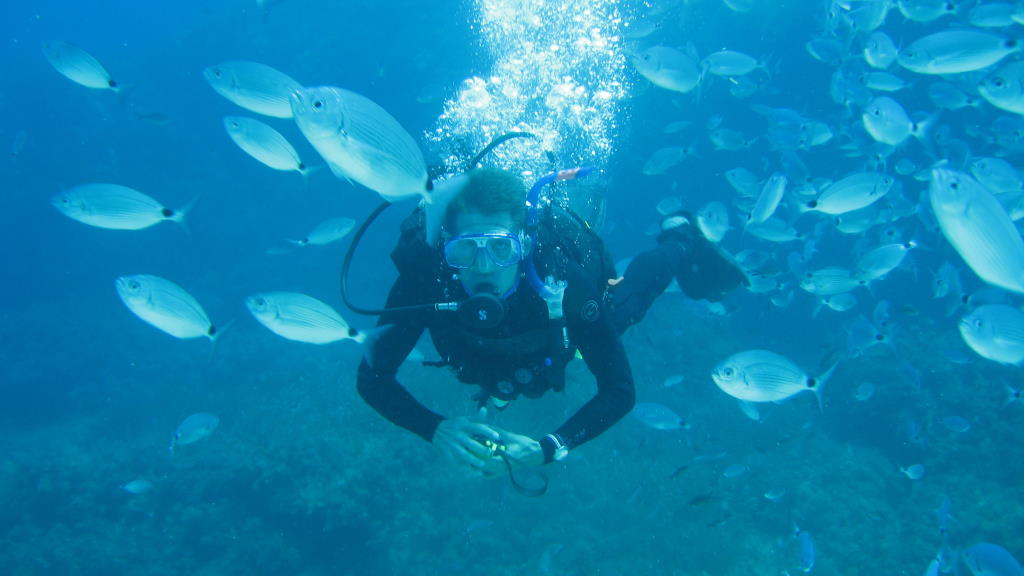 Scuba diving in Malta